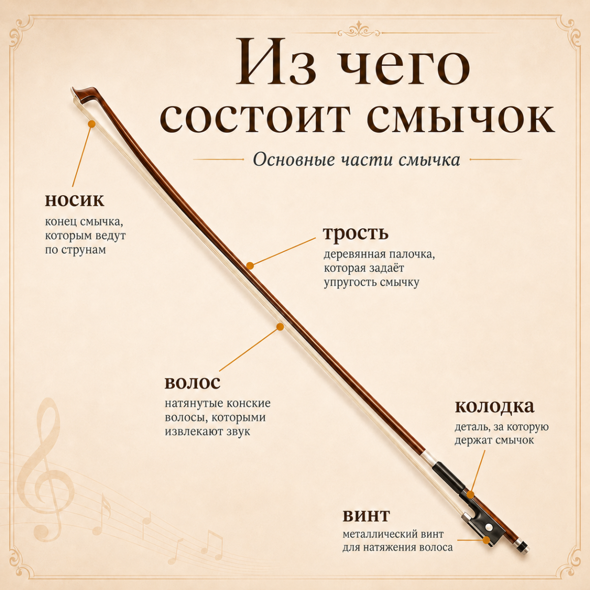 violin5.png