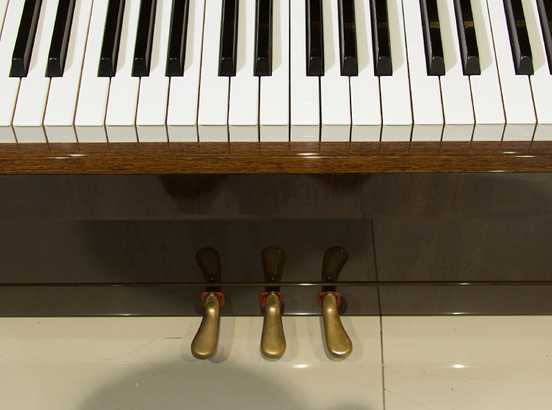 Пианино Petrof Middle P 118 M1 (BU) орех, полированное