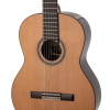 Гитара классическая Tarrega T28 Cedar+Indian Rosewood 4/4