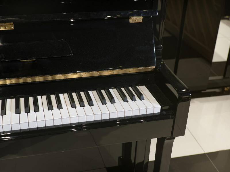 Пианино R. Lipp & Sohn 121 черное, полированное