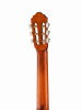 Гитара классическая Cort Classic Series AC100-OP Гитара классическая Cort Classic Series AC100-OP