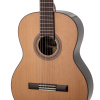 Гитара классическая Tarrega T9 Cedar+Rosewood 4/4