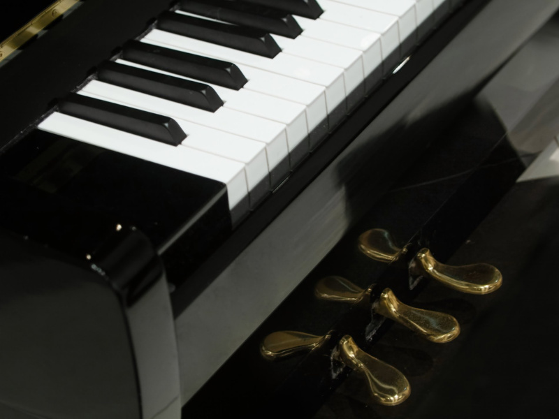 Пианино W. Hoffmann Vision V 120 (BU) черное, полированное