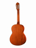 Гитара классическая Cort Classic Series AC100-OP Гитара классическая Cort Classic Series AC100-OP