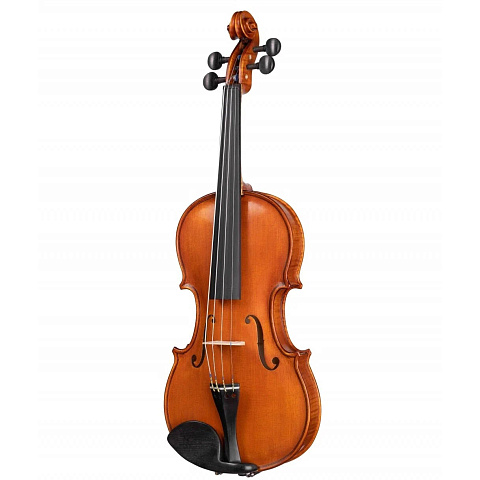 Скрипка Gliga Gems 1 AW-V012-S 1/2