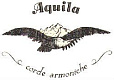 Aquila