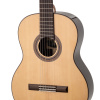 Гитара классическая Tarrega T9 Spruce+Rosewood 4/4