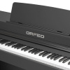 Цифровое пианино Orfeo Eurydice E-22 черное, с наушниками