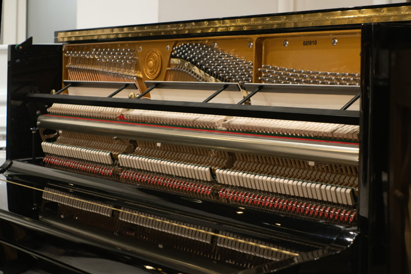 Пианино W. Hoffmann Vision V 120 (BU) черное, полированное