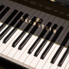 Рояль C. Bechstein Academy A 190 (BU) черный, полированный