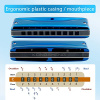 Губная гармоника Kongsheng Bluebird До-мажор (C)