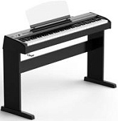 Цифровое пианино Orla Stage Starter черное, сатинированное
