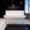 Пианино C. Bechstein Millenium 116 (BU) белое, полированное, отделка хром, цифровая система Vario Пианино C. Bechstein Millenium 116 (BU) белое, полированное, отделка хром, цифровая система Vario