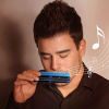 Губная гармоника Kongsheng Bluebird Ля-мажор (A)