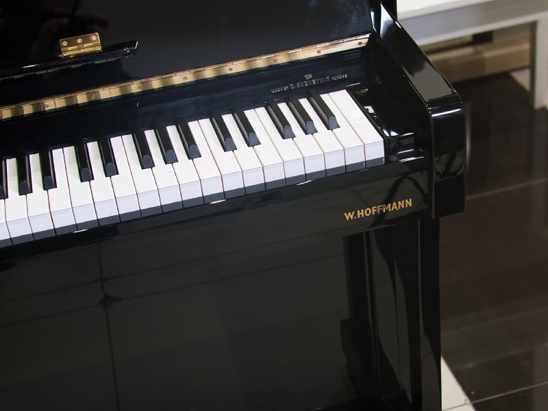Пианино W. Hoffmann Vision V 112 2019 г.(BU) черное, полированное