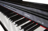 Цифровое пианино Orla CDP-101 черное, полированное